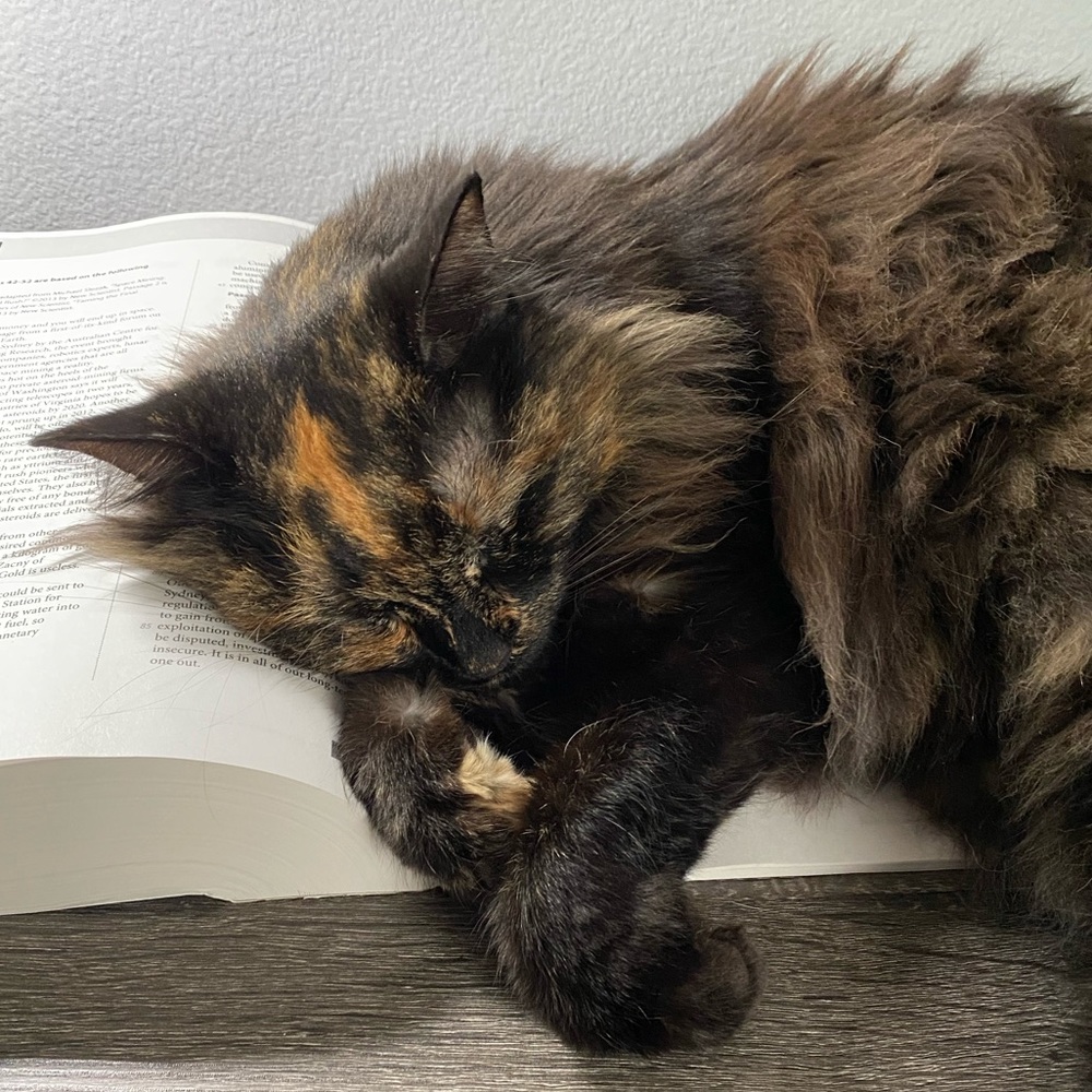 Meet your Posher, Rosh!